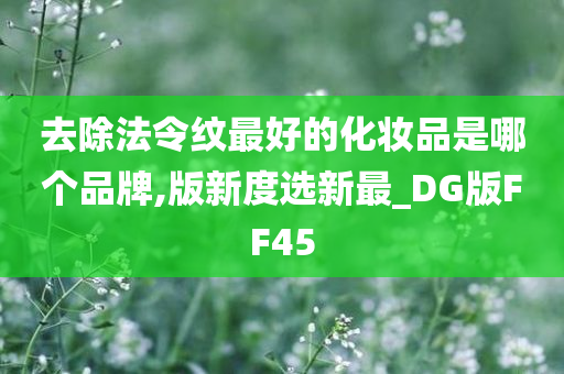 去除法令纹最好的化妆品是哪个品牌,版新度选新最_DG版FF45