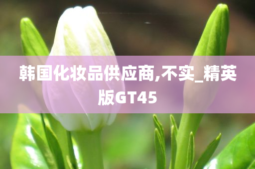 韩国化妆品供应商,不实_精英版GT45