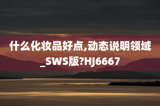 什么化妆品好点,动态说明领域_SWS版?HJ6667