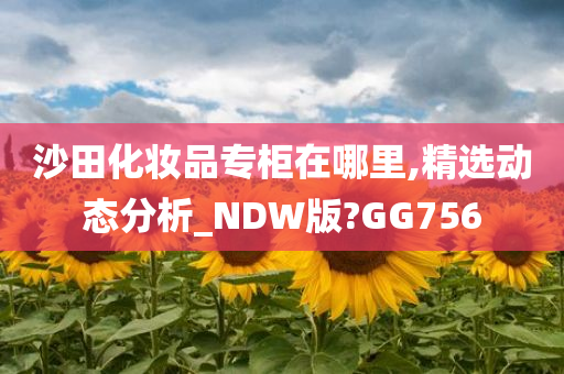 沙田化妆品专柜在哪里,精选动态分析_NDW版?GG756