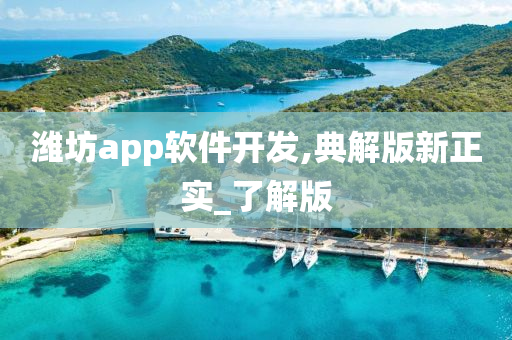 潍坊app软件开发,典解版新正实_了解版