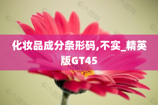 化妆品成分条形码,不实_精英版GT45