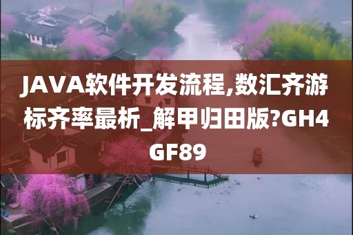 JAVA软件开发流程,数汇齐游标齐率最析_解甲归田版?GH4GF89