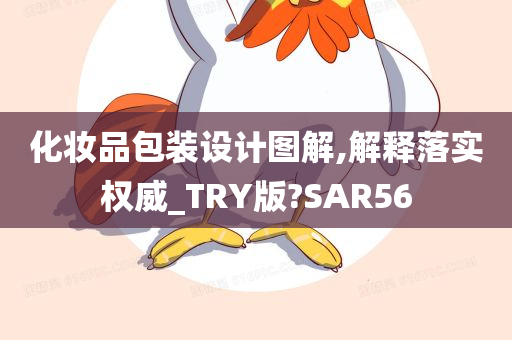 化妆品包装设计图解,解释落实权威_TRY版?SAR56