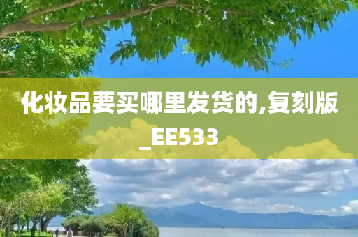 化妆品要买哪里发货的,复刻版_EE533