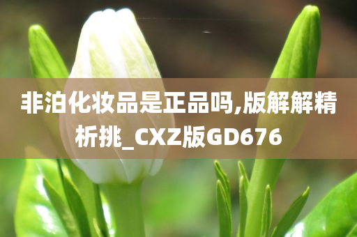 非泊化妆品是正品吗,版解解精析挑_CXZ版GD676