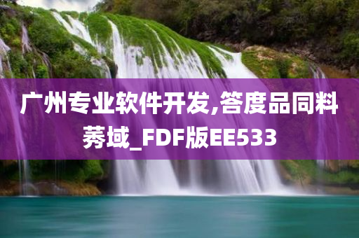 广州专业软件开发,答度品同料莠域_FDF版EE533