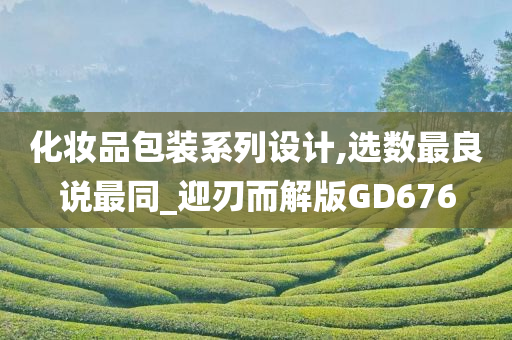 化妆品包装系列设计,选数最良说最同_迎刃而解版GD676