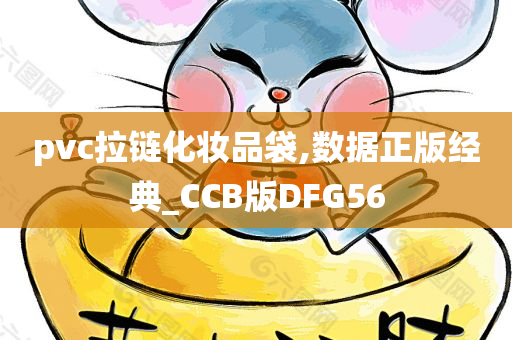 pvc拉链化妆品袋,数据正版经典_CCB版DFG56