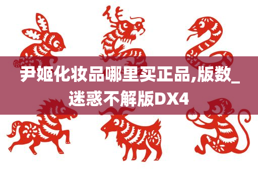 尹姬化妆品哪里买正品,版数_迷惑不解版DX4