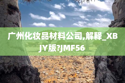 广州化妆品材料公司,解释_XBJY版?JMF56