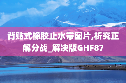 背贴式橡胶止水带图片,析究正解分战_解决版GHF87