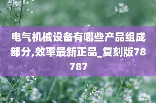 电气机械设备有哪些产品组成部分,效率最新正品_复刻版78787