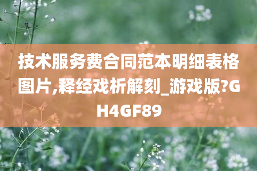 技术服务费合同范本明细表格图片,释经戏析解刻_游戏版?GH4GF89