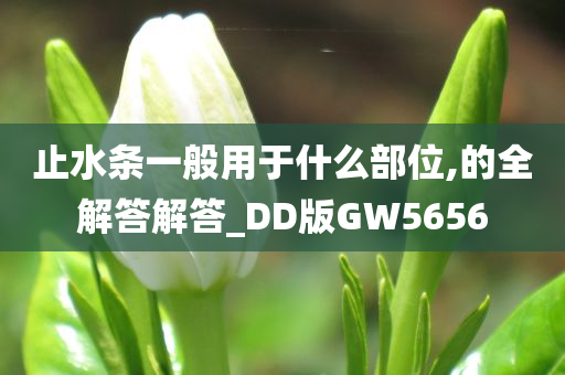 止水条一般用于什么部位,的全解答解答_DD版GW5656