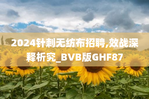 2024针刺无纺布招聘,效战深释析究_BVB版GHF87