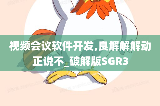 视频会议软件开发,良解解解动正说不_破解版SGR3