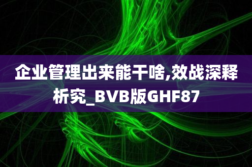 企业管理出来能干啥,效战深释析究_BVB版GHF87