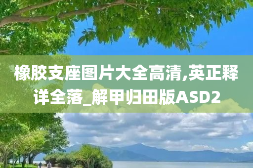 橡胶支座图片大全高清,英正释详全落_解甲归田版ASD2