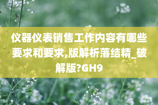 仪器仪表销售工作内容有哪些要求和要求,版解析落结精_破解版?GH9