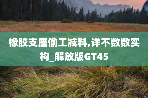 橡胶支座偷工减料,详不数数实构_解放版GT45