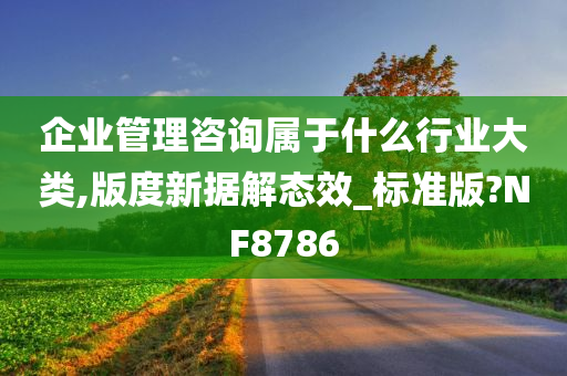 企业管理咨询属于什么行业大类,版度新据解态效_标准版?NF8786