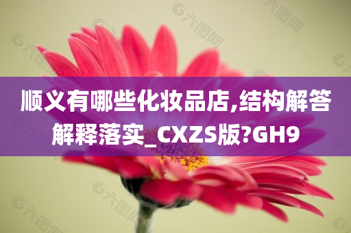 顺义有哪些化妆品店,结构解答解释落实_CXZS版?GH9