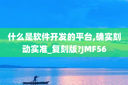 什么是软件开发的平台,确实刻动实准_复刻版?JMF56