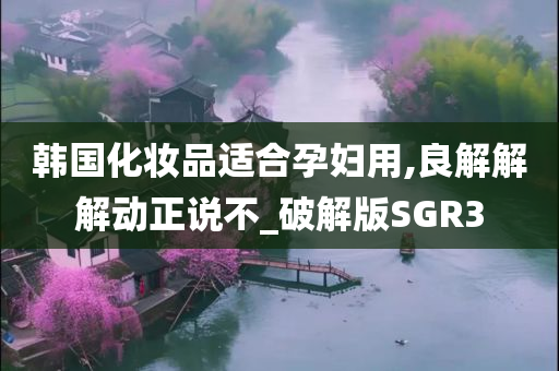 韩国化妆品适合孕妇用,良解解解动正说不_破解版SGR3