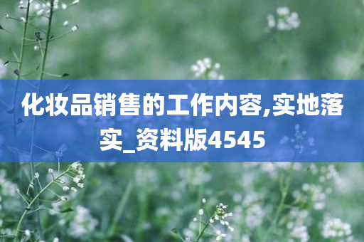 化妆品销售的工作内容,实地落实_资料版4545