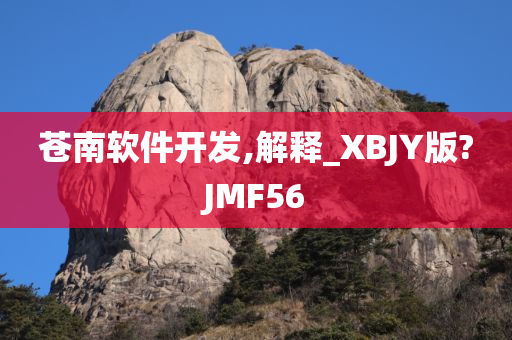 苍南软件开发,解释_XBJY版?JMF56