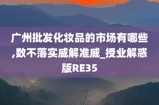 广州批发化妆品的市场有哪些,数不落实威解准威_授业解惑版RE35