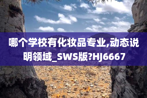 哪个学校有化妆品专业,动态说明领域_SWS版?HJ6667