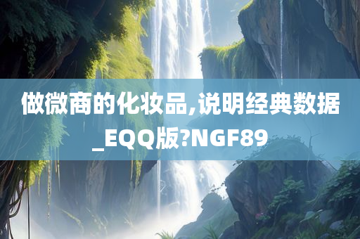 做微商的化妆品,说明经典数据_EQQ版?NGF89