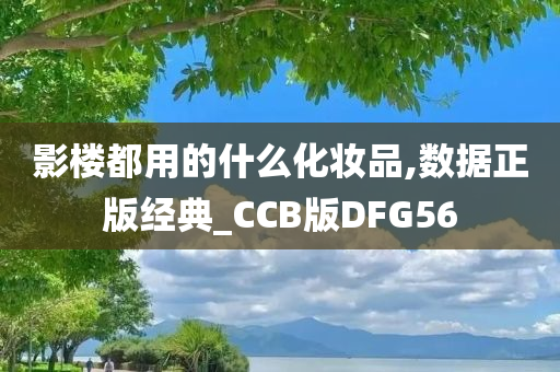 影楼都用的什么化妆品,数据正版经典_CCB版DFG56