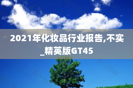 2021年化妆品行业报告,不实_精英版GT45