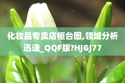 化妆品专卖店柜台图,领域分析迅速_QQF版?HJGJ77