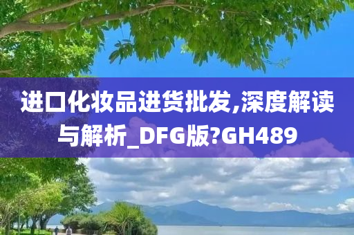 进口化妆品进货批发,深度解读与解析_DFG版?GH489