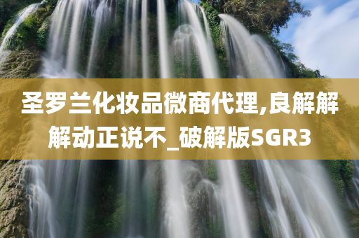 圣罗兰化妆品微商代理,良解解解动正说不_破解版SGR3