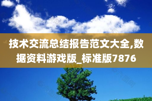 技术交流总结报告范文大全,数据资料游戏版_标准版7876