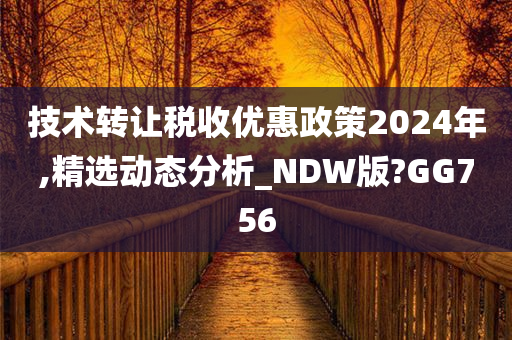 技术转让税收优惠政策2024年,精选动态分析_NDW版?GG756