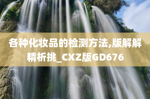 各种化妆品的检测方法,版解解精析挑_CXZ版GD676