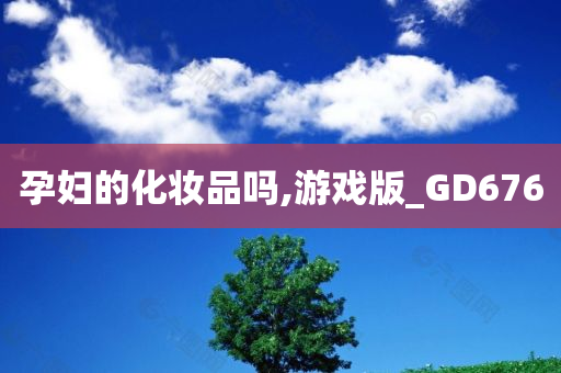 孕妇的化妆品吗,游戏版_GD676