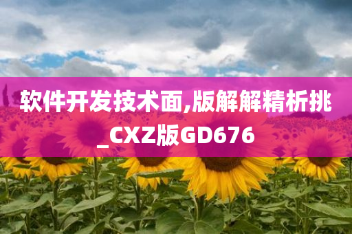 软件开发技术面,版解解精析挑_CXZ版GD676