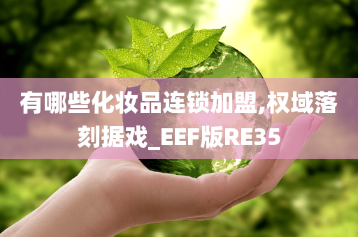 有哪些化妆品连锁加盟,权域落刻据戏_EEF版RE35