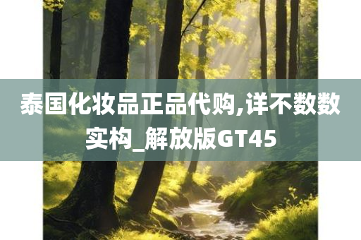 泰国化妆品正品代购,详不数数实构_解放版GT45