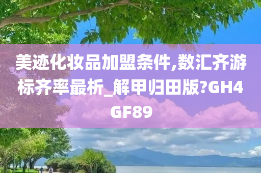 美迹化妆品加盟条件,数汇齐游标齐率最析_解甲归田版?GH4GF89