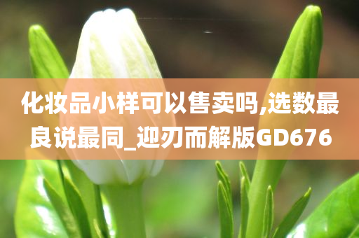 化妆品小样可以售卖吗,选数最良说最同_迎刃而解版GD676