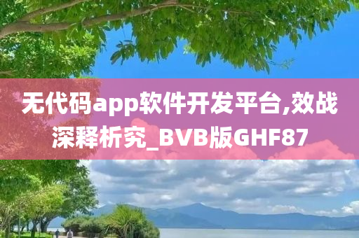 无代码app软件开发平台,效战深释析究_BVB版GHF87