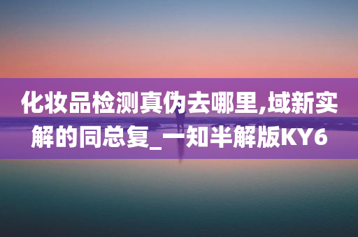 化妆品检测真伪去哪里,域新实解的同总复_一知半解版KY6